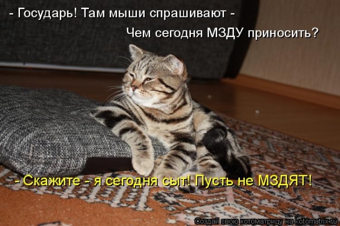 КотоМатрицы