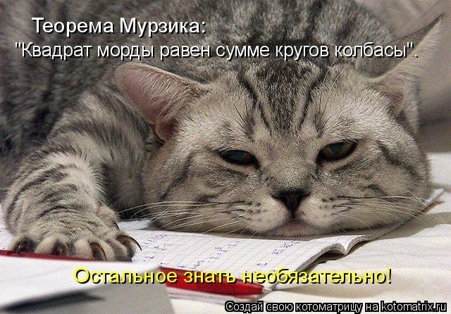 КотоМатрицы