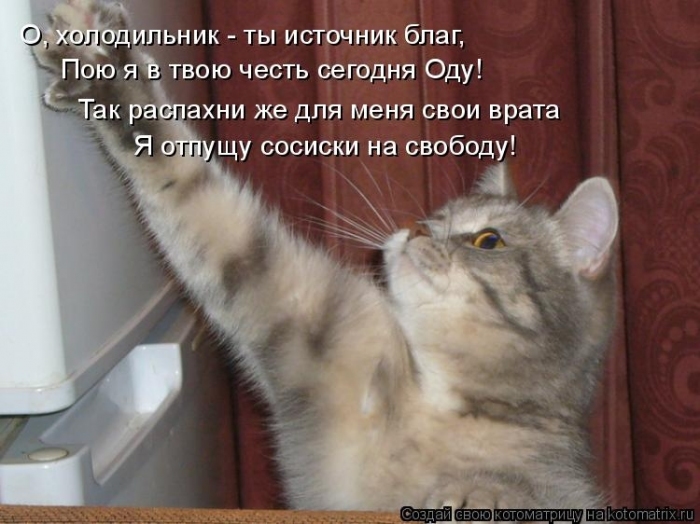 КотоМатрицы