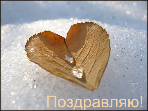  (500x376, 144Kb)
