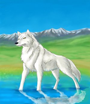  (300x345, 17Kb)