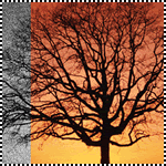  (150x150, 21Kb)