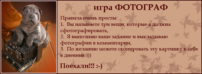  (700x258, 67Kb)