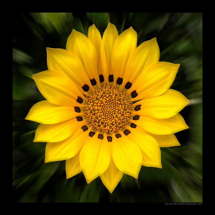  (700x700, 171Kb)