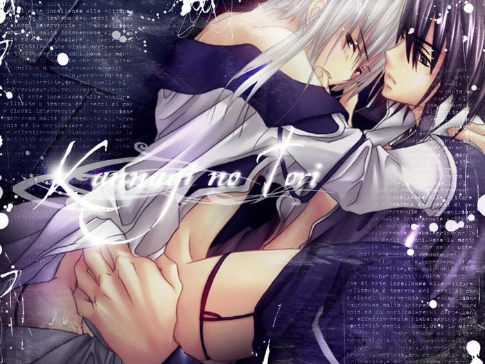  (700x525, 92Kb)