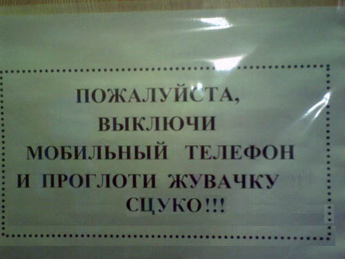  (500x375, 35Kb)