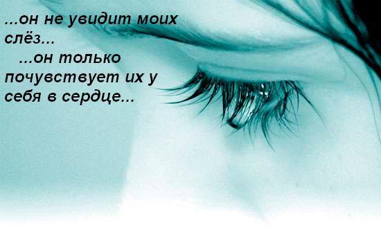  (550x341, 24Kb)