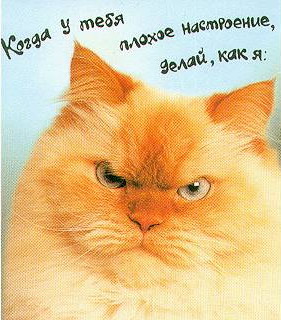  (281x320, 39Kb)