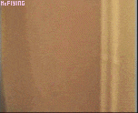  (152x124, 294Kb)