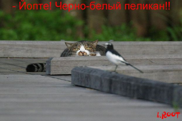  (622x414, 30Kb)
