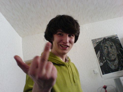  (500x375, 23Kb)