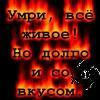  (100x100, 3Kb)