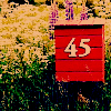  (100x100, 26Kb)