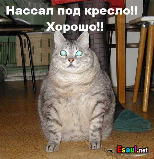 (500x513, 69Kb)