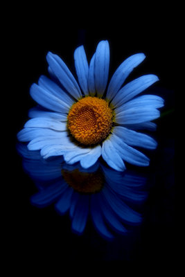  (267x400, 18Kb)