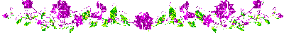  (140) (400x50, 5Kb)