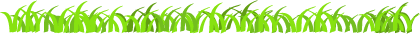  (420x34, 6Kb)