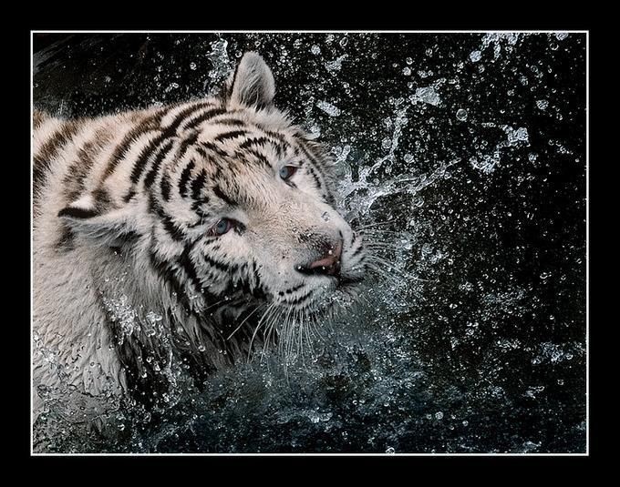  (680x535, 120Kb)
