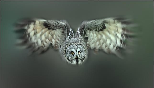  (644x370, 25Kb)