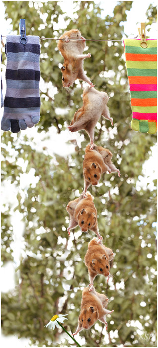  (319x700, 106Kb)