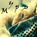  (150x150, 22Kb)