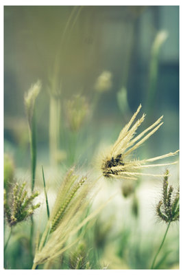  (267x400, 22Kb)