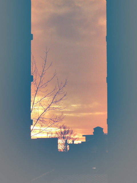  (480x640, 112Kb)