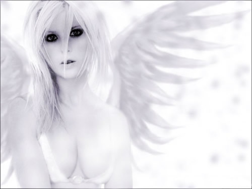  (500x375, 20Kb)