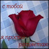 (100x100, 5Kb)