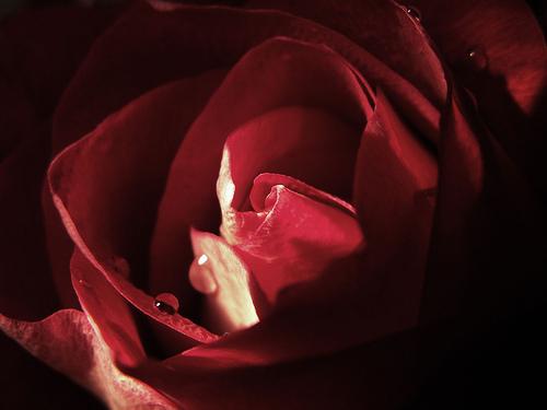  (500x375, 15Kb)