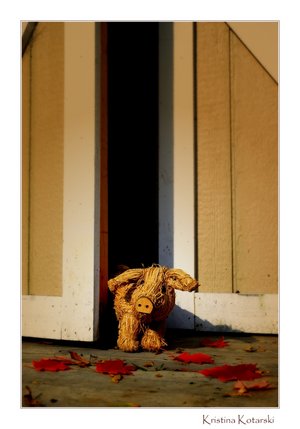  (300x429, 20Kb)
