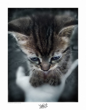  (300x384, 22Kb)