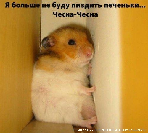  (500x451, 25Kb)