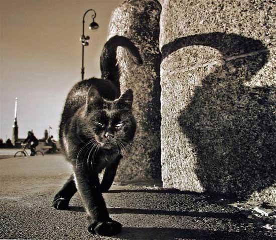  (550x479, 60Kb)