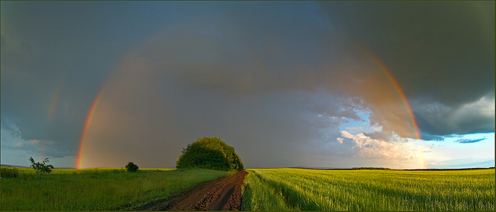 1590097_Positive_42 (700x300, 106Kb)