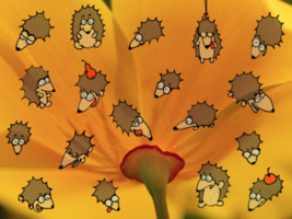  (267x200, 27Kb)