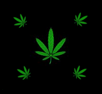  (211x194, 6Kb)