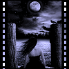  (100x100, 37Kb)