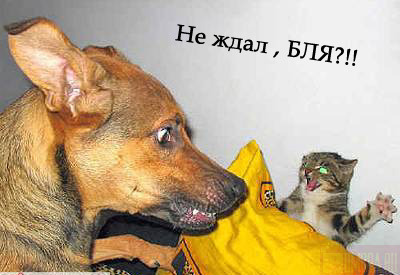  (400x275, 36Kb)