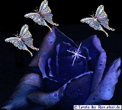  (250x225, 21Kb)