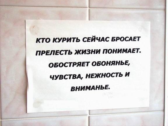  (576x432, 31Kb)
