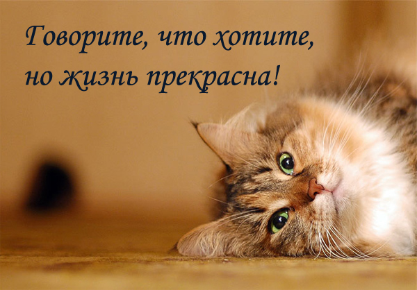 14115239_17520566_15545557_15531903_11098917_8170779 (600x418, 177Kb)