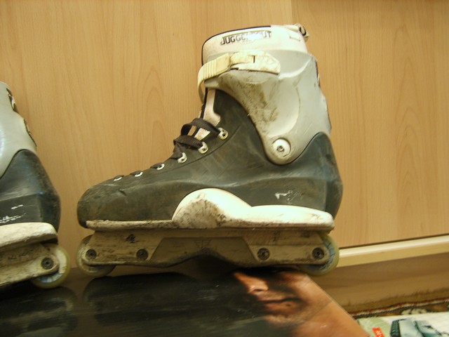 skates1 (640x480, 69Kb)