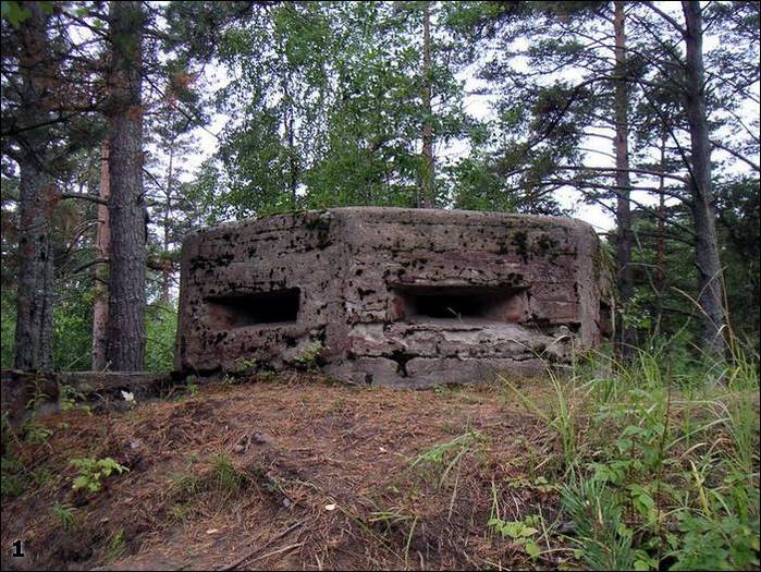 Фото дзота в вов