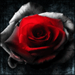 15305107_3082511_dshposch9g (150x150, 48Kb)