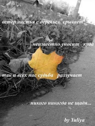  (380x500, 42Kb)