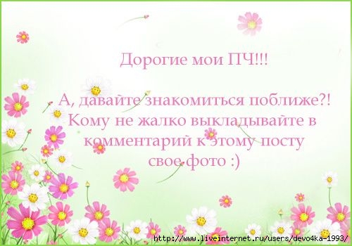  (500x350, 94Kb)