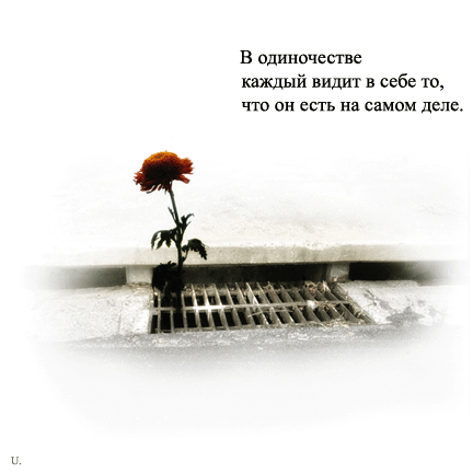 1176125585 (432x432, 61Kb)