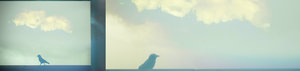  (300x71, 3Kb)