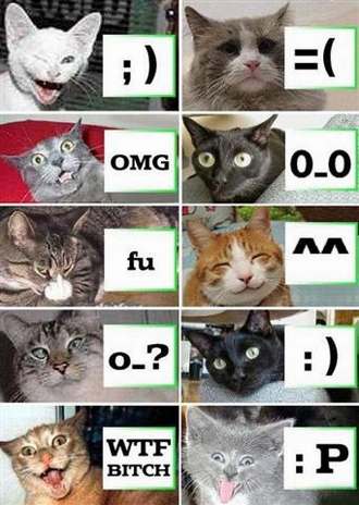  (330x464, 28Kb)